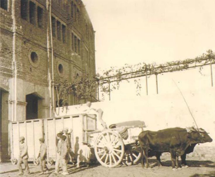 131760cde807148267b3854c743c7f69