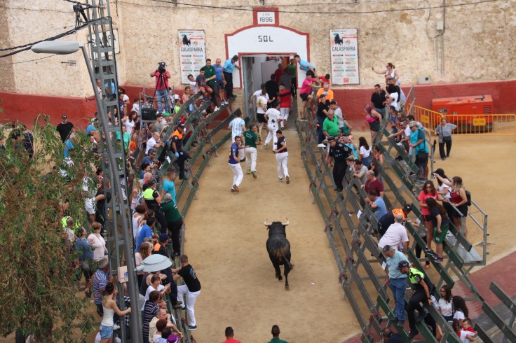 20180903100529_IMG_4272