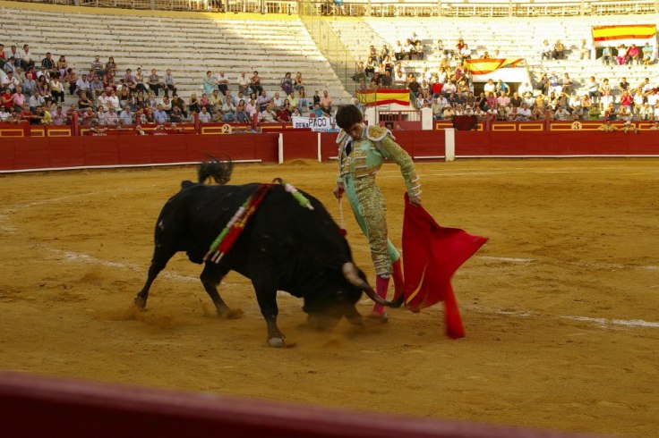 486499_102362779913409_724747654_n