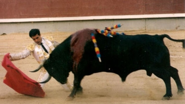 f800x450-127944_179390_5