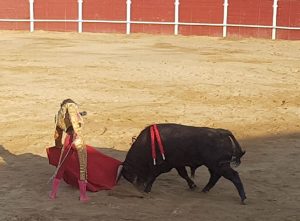 IMG-20180725-WA0031-300x221