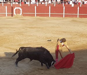 IMG-20180725-WA0032-300x261