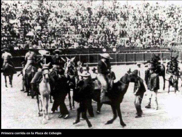 PLAZA TOROS CEHEGÍN