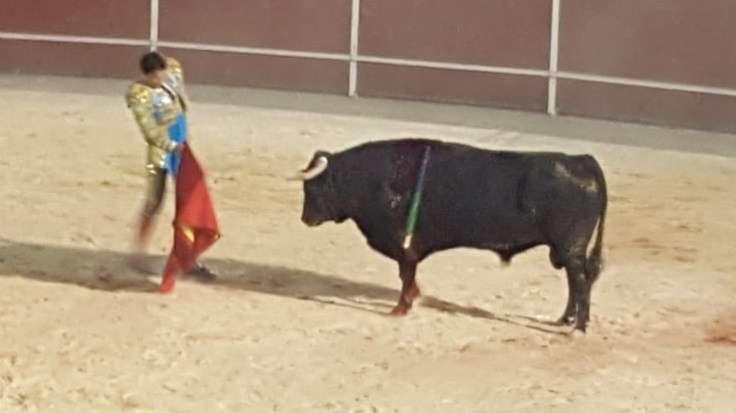 2819f566-3714-4879-ac2a-628a9419831a