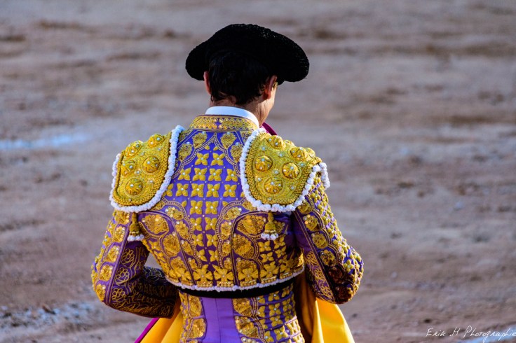 41938811635_281729f522_b