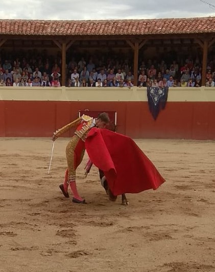 b206ab65-06cc-4b83-bca4-5a855026cc76