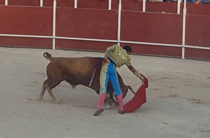 b620c043-05b7-4374-9755-9a05b8a4fdb1