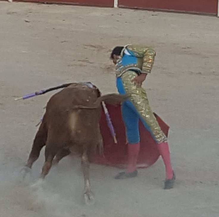 c6a8ae1d-a93d-4e48-9625-82f350cf529c