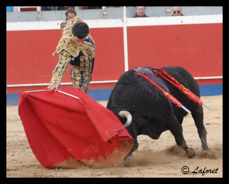 CABEZO DE TORRES-05-03-11 068 copia