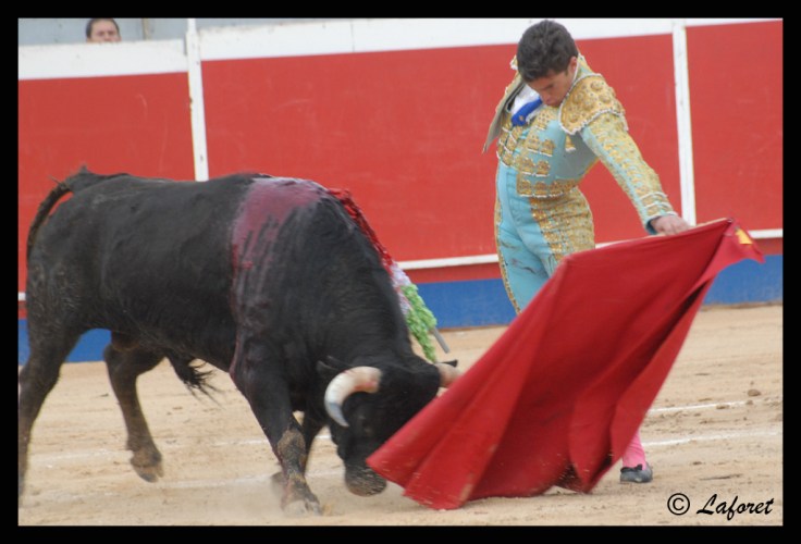 CABEZO DE TORRES-05-03-11 291 copia