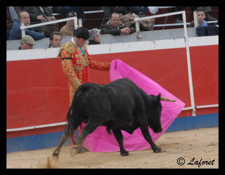 CABEZO DE TORRES-05-03-11 336 copia