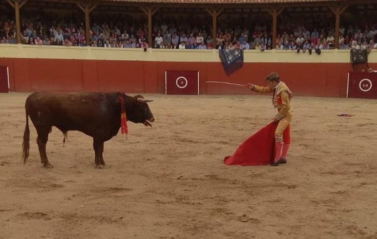 ff9ef009-6062-467a-9c0d-86a92daf80c1