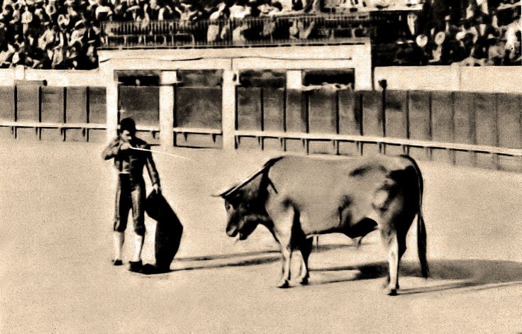 gavira veragua_filteredx