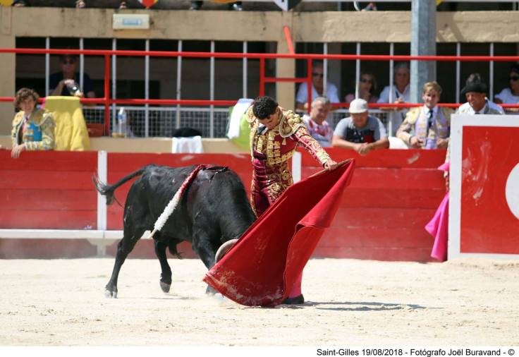 39504828_1805507082829827_8636293725963681792_o