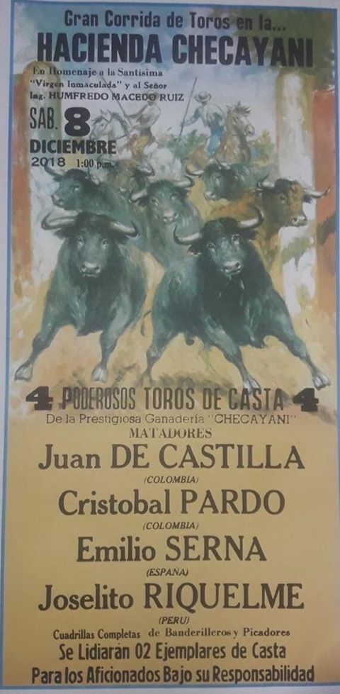 45502964_267751073883260_7231203077817106432_n