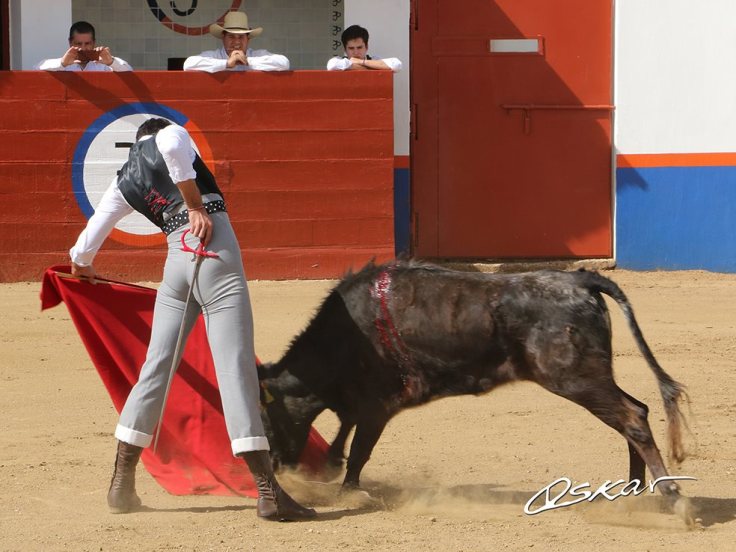 48391074_2115437385166613_7102889383660879872_o