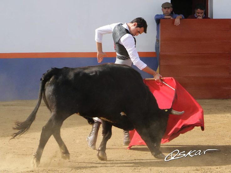 48409321_2115437641833254_6139734278814040064_o