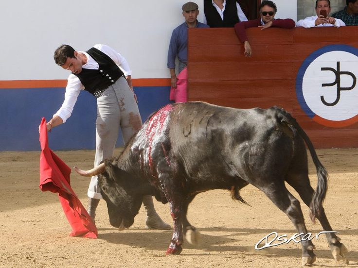 48421173_2115437831833235_4787644270129446912_o