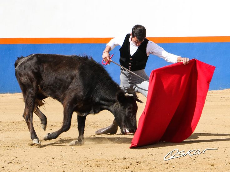 48426906_2115437171833301_1194560619836080128_o