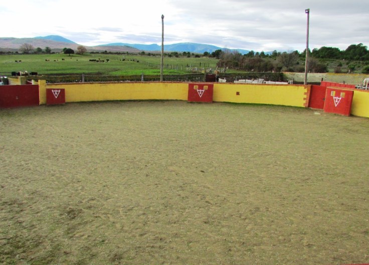 PLAZA DE TIENTAS.JPG