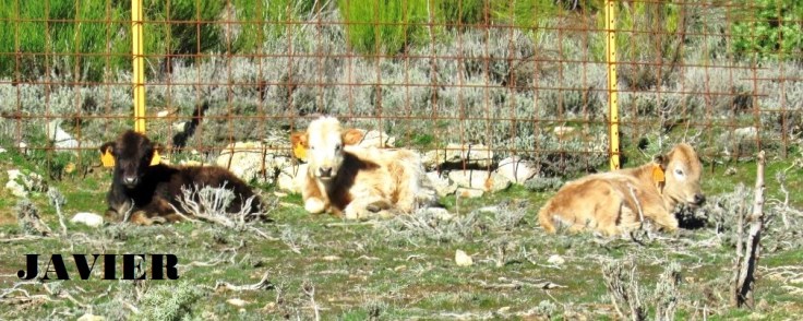 TOMANDO EL SOL DE INVIERNO