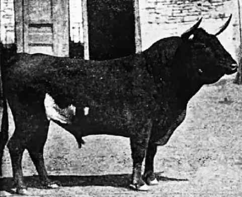 captura de pantalla (64)