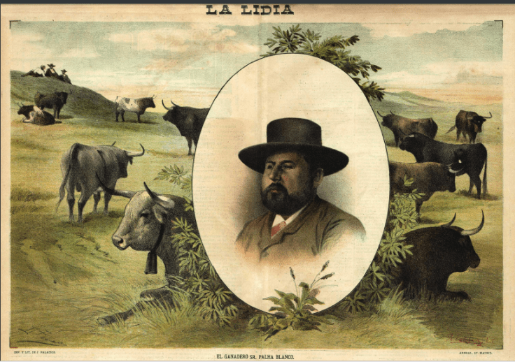 captura de pantalla (65)