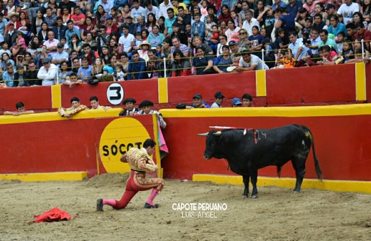 51165979_1172927009562703_160513325967343616_o