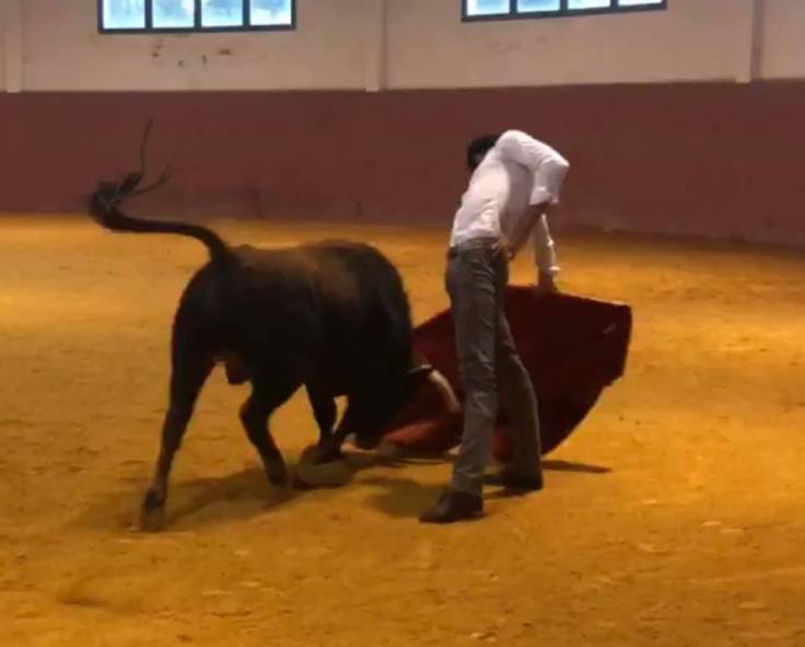 51311717_10216047655436981_6244709202288181248_n