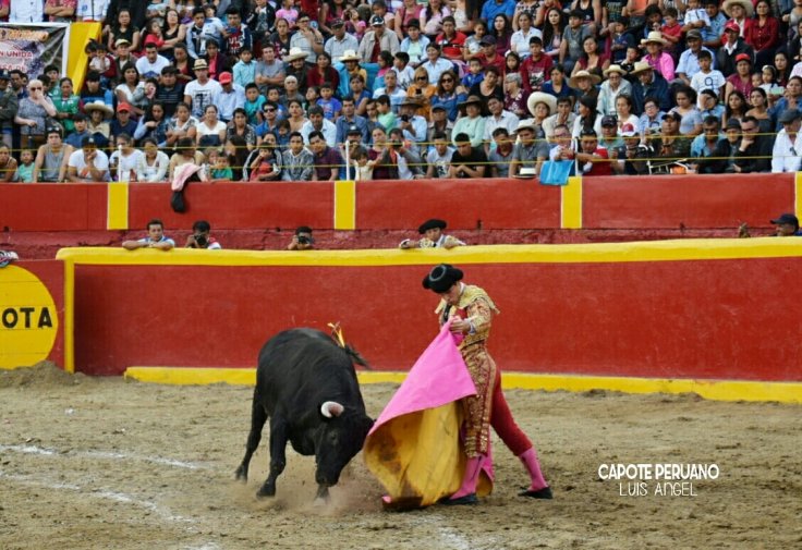 51334983_1172926899562714_6563302403062366208_o