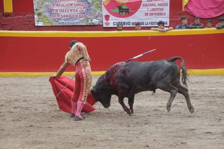 FB_IMG_1549265096579