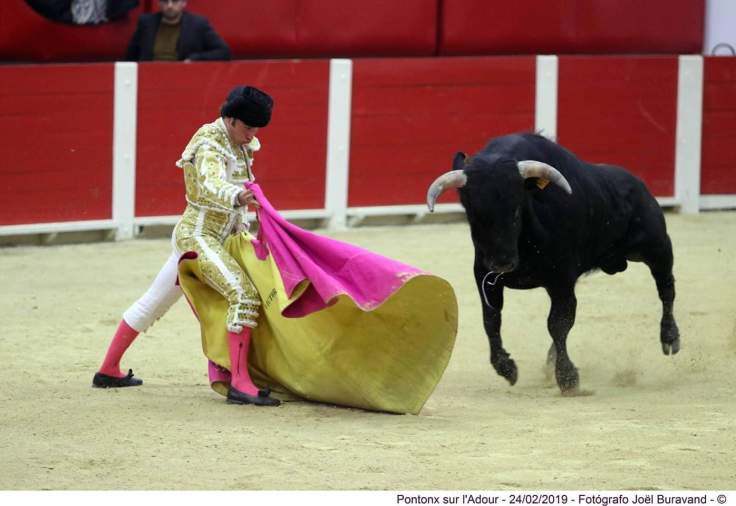 FB_IMG_1551035324483