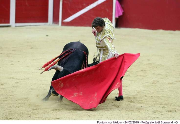 FB_IMG_1551035346358