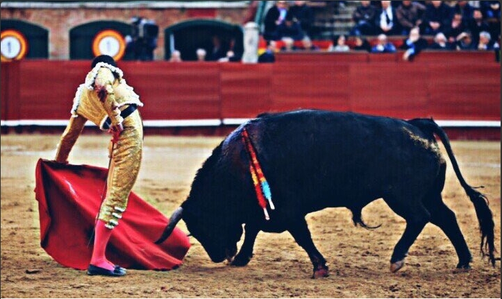 ureña-torero
