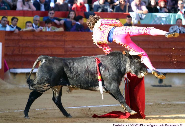 54798783_2107093592671173_667141367486480384_o