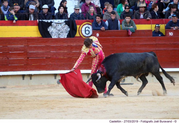 55641783_2107094692671063_3396331378852233216_o