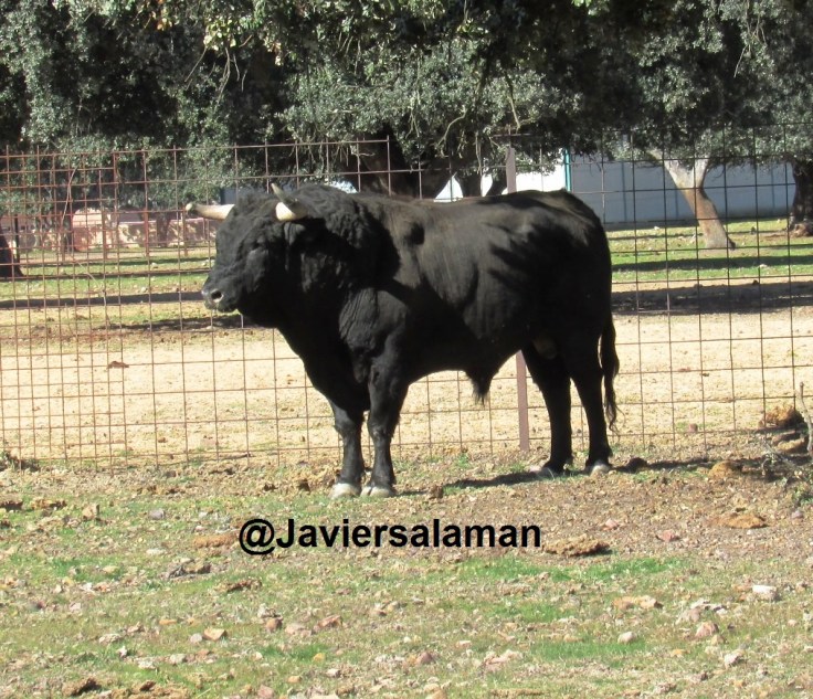 CUATREÑO A LA VENTA