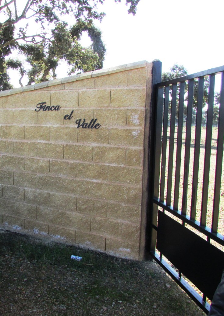 ESTAMOS EN LA FINCA
