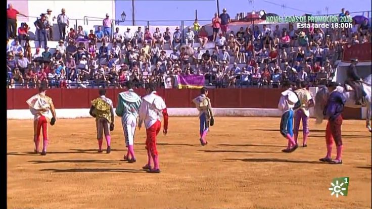 1532330173605novilladas