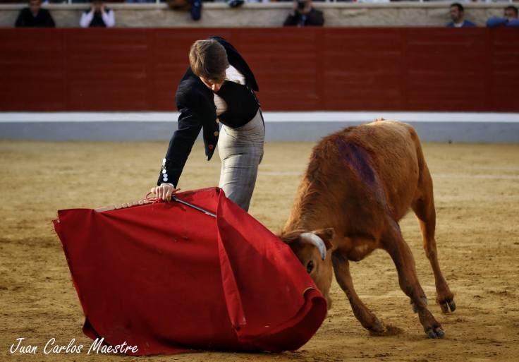 55931127_652924155141495_9080581429577908224_o