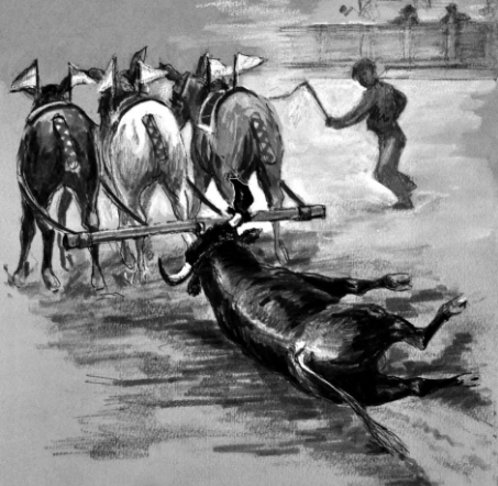 Captura de pantalla (46)