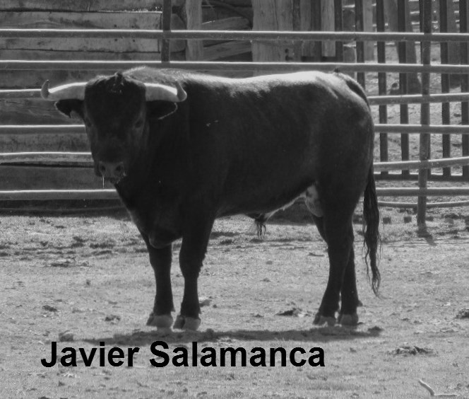 PRECIOSO EJEMPLAR, EN TIPO