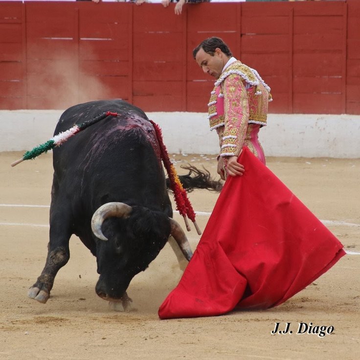 33066059_1922829957738412_6392518955591794688_n