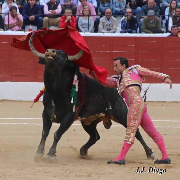 33091352_1922830447738363_3802071991503028224_n-1