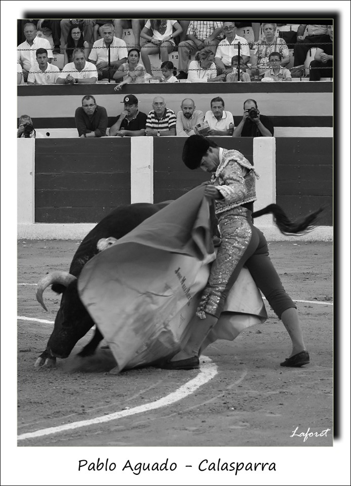 59999410_2312583649026414_5735661251640426496_n