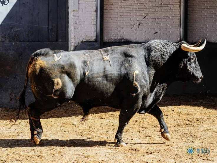 WhatsApp Image 2019-05-31 at 12.38.40