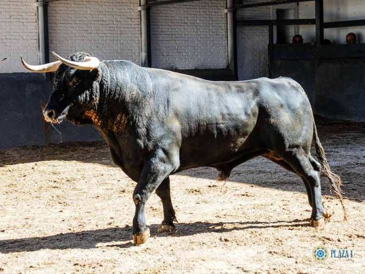 WhatsApp Image 2019-05-31 at 12.48.37