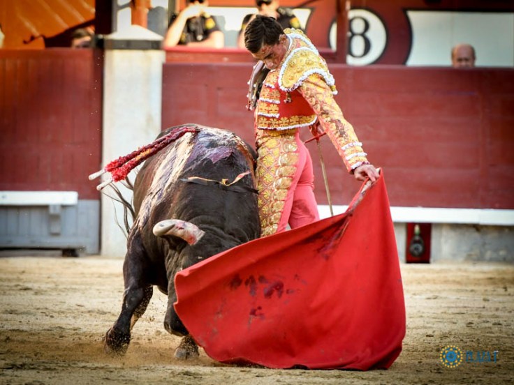 0fb8e5a245683e3cd48781bbff85434f39c1551fba014d68762262f1b02744e7