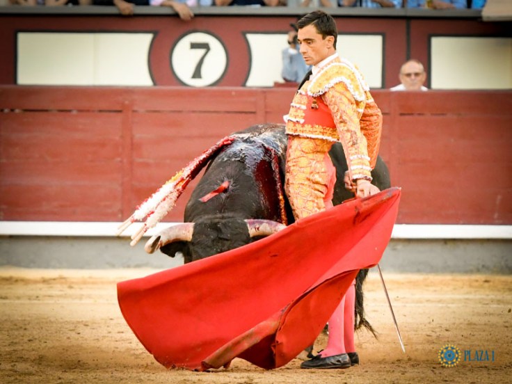 2b58a5bbd9ce105741e117e8cbe6353d1d88550bf70f394d446be25d8e89c88e