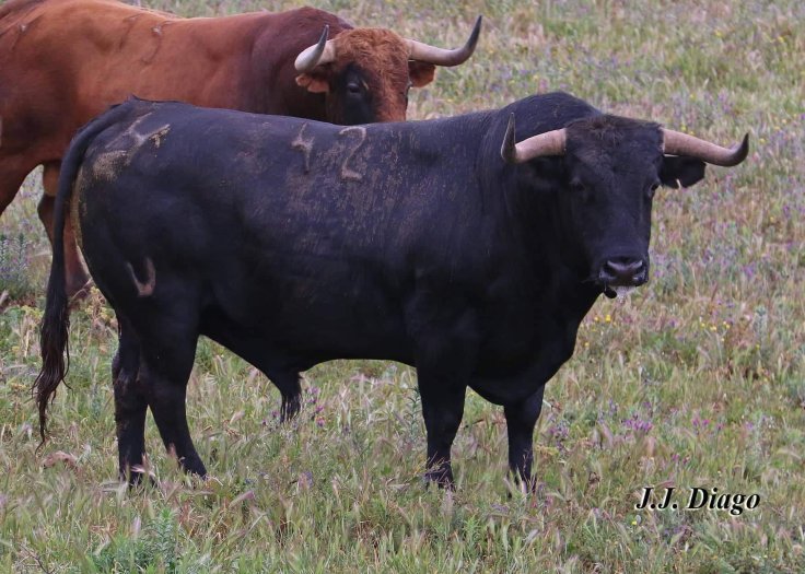 62444126_2490713914283344_2968471409749131264_o